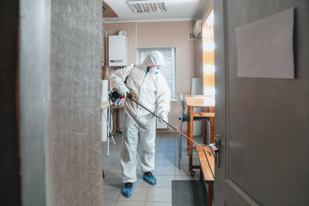 Mold Documentation for Insurance Claims in Seminole Manor, FL