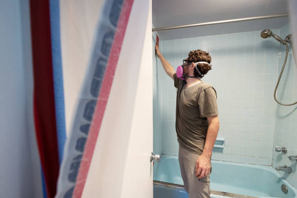 Best Industrial Mold Remediation  in Seminole Manor, FL