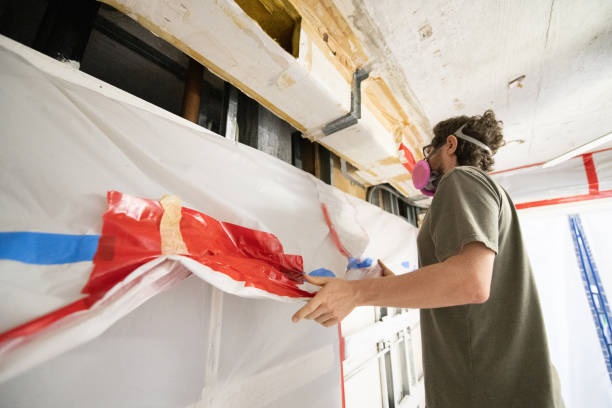 Seminole Manor, FL Mold Removal Company