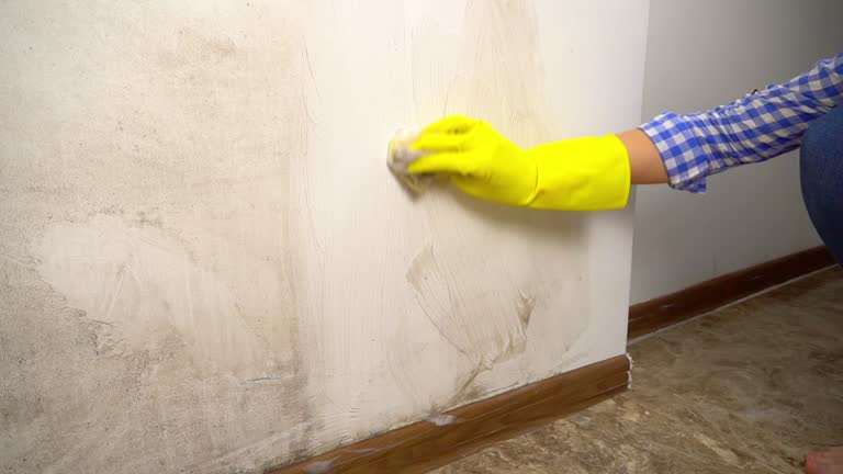 Best Post-Remediation Verification Testing  in Seminole Manor, FL