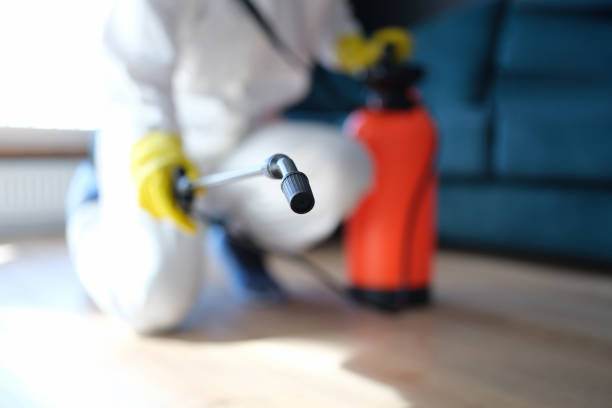 Best HVAC Mold Inspection and Cleaning  in Seminole Manor, FL