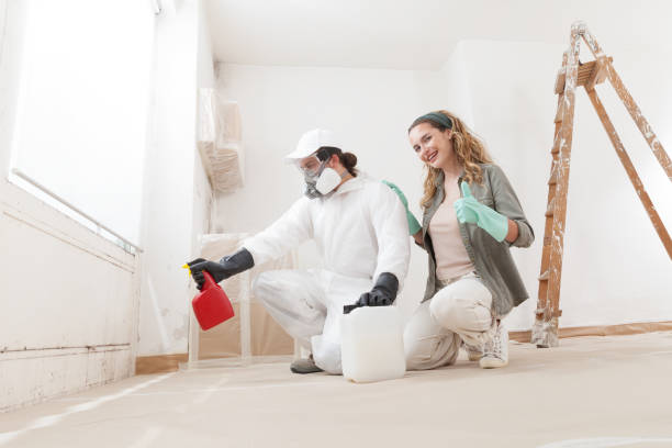 Best Airborne Mold Testing  in Seminole Manor, FL