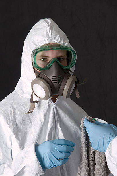 Best Attic Mold Removal  in Seminole Manor, FL